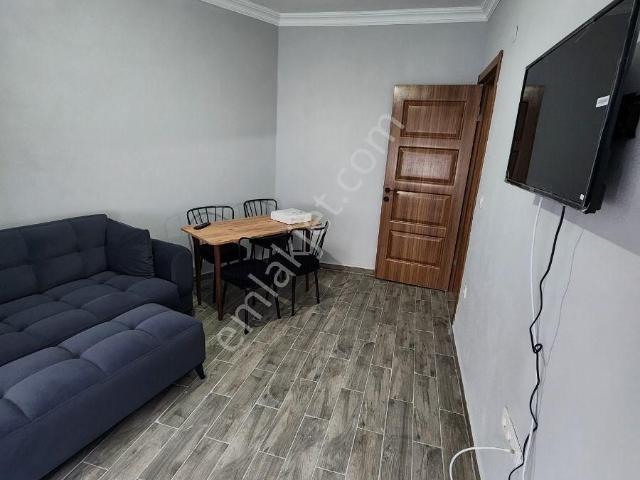 İstanbul Merkez, İstanbul içerisinde kiralık mülk