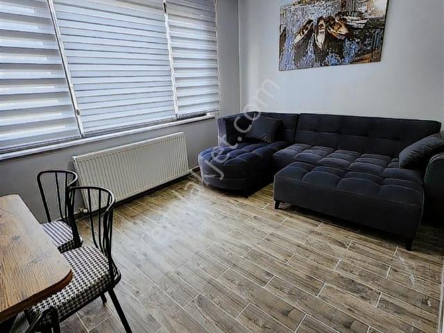 İstanbul Merkez, İstanbul içerisinde kiralık mülk