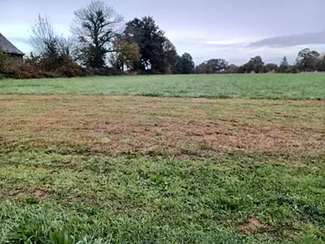 Terrain vente à La Croix Verte, Balazé
