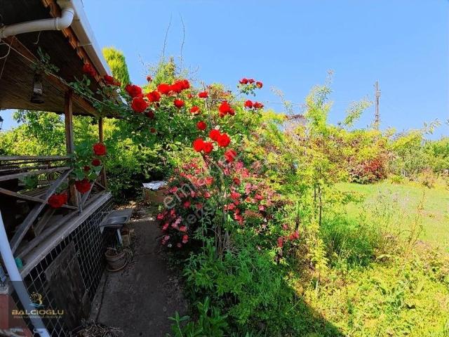 Kocaali, Sakarya içerisinde satılık Villa