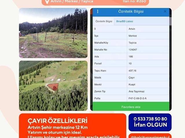 Artvin Merkez, Artvin içerisinde satılık mülk