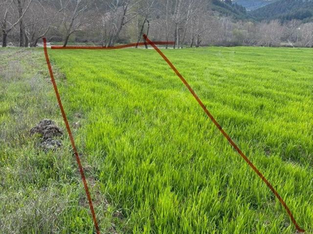 Devletlibaba, Sındırgı içerisinde satılık Arsa