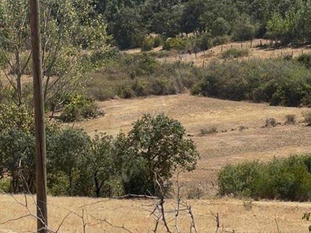 Bulak, Sındırgı içerisinde satılık mülk