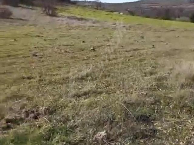 Osmanlar, Sındırgı içerisinde satılık Arsa