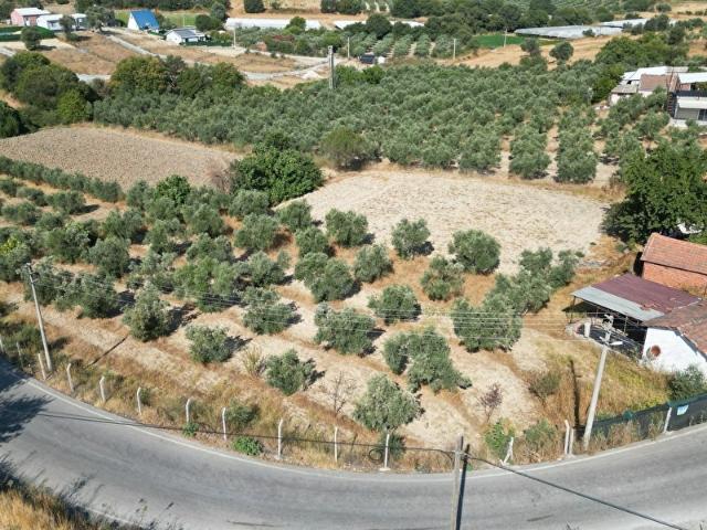 Menderes, İzmir içerisinde satılık mülk