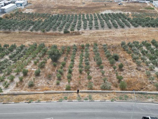 Pancar Mahallesi, Torbalı içerisinde satılık mülk