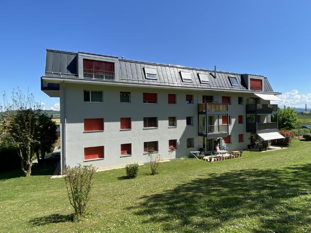 Apartment mieten in Orbe, Waadt