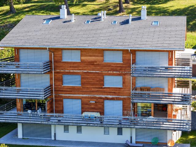 Apartment mieten in Nax, Mont-Noble