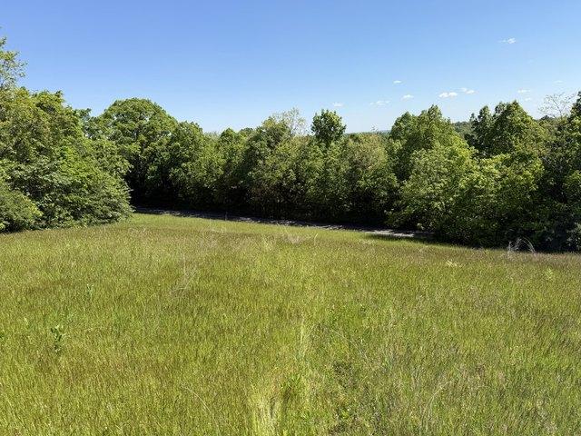 Land for sale in Carlisle, Kentucky