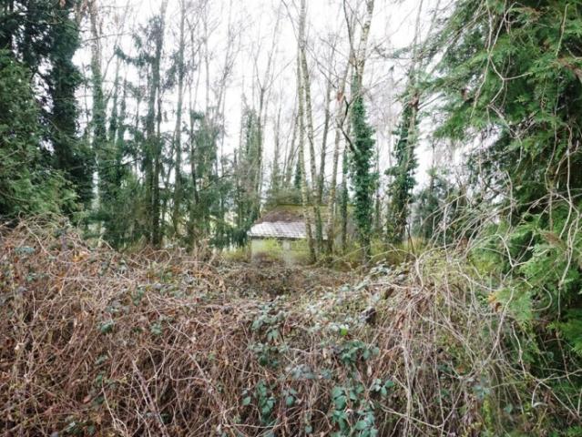 Grundstück kaufen in Lohnsburg am Kobernaußerwald, Oberösterreich