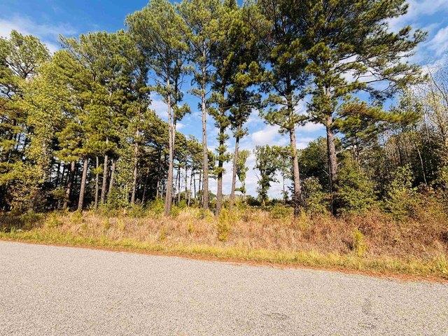 Land for sale in Bald Knob, White County