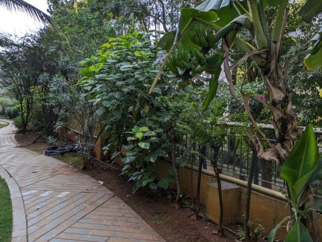 Villa for rent in Poona, National Capital Territory Of Delhi