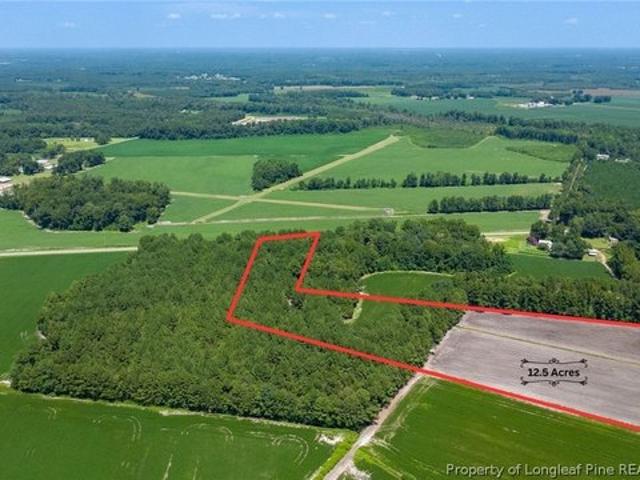 Land for sale in Lumber Bridge, North Carolina