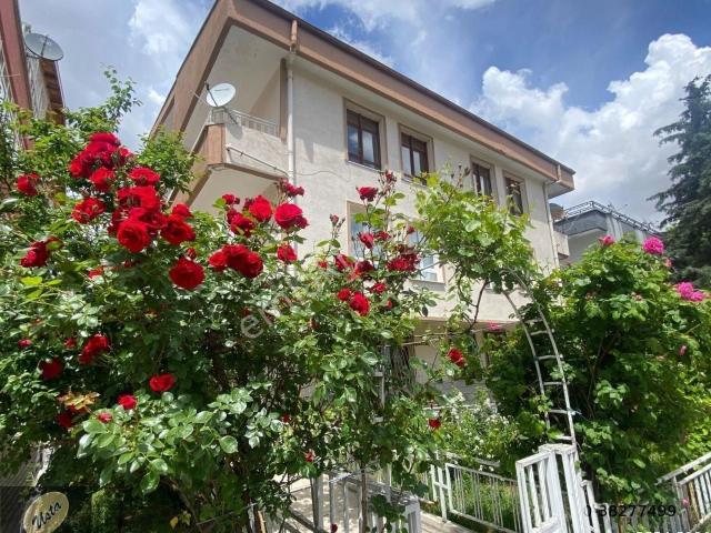 Çankaya, Ankara içerisinde kiralık mülk
