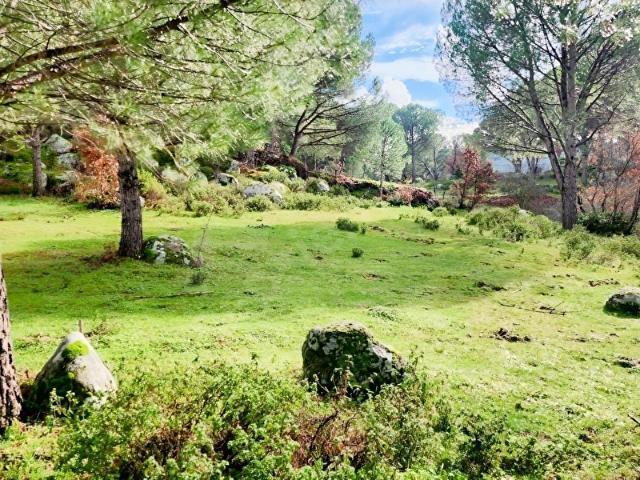Bağyüzü, Ayvalık içerisinde satılık mülk