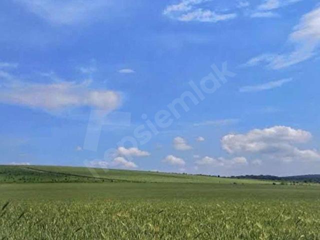 Havutbaşı, Balya içerisinde satılık Arsa