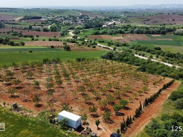 Yeniziraatli Mahallesi, Bandırma içerisinde satılık Arsa