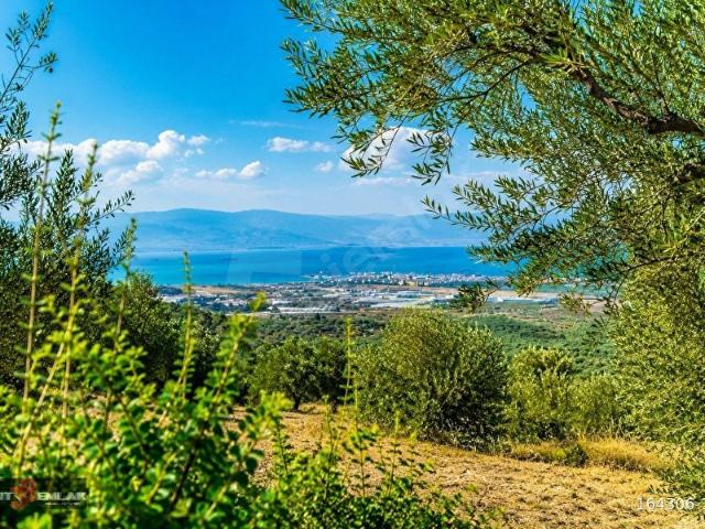 Burhaniye, Balikesir içerisinde satılık mülk