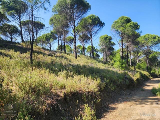 Ayvalik, Balikesir içerisinde satılık Arsa
