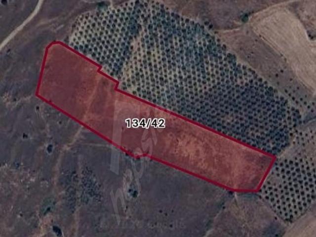Paşalimanı Mahallesi, Erdek içerisinde satılık Arsa
