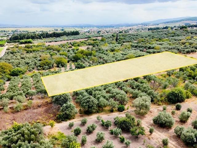 Manyas, Balikesir içerisinde satılık mülk