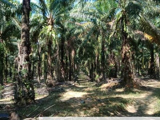 Shop for sale in Baling, Kedah