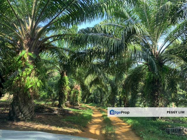 Shop for sale in Baling, Kedah