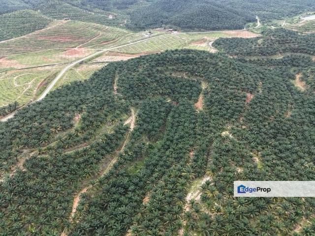 House for sale in Kuala Kedah, Kedah