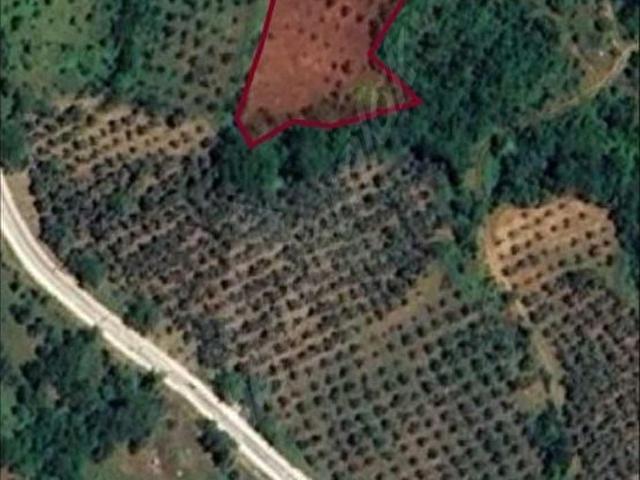 Orhangazi, Bursa içerisinde satılık mülk