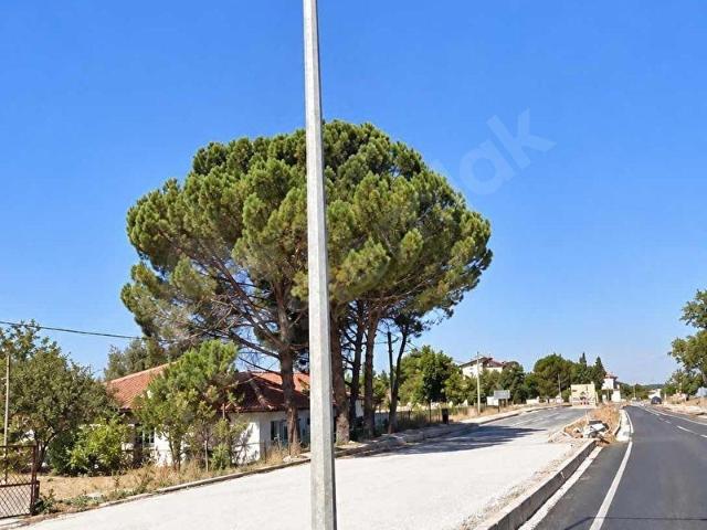 Pınarbaşı, Sivaslı içerisinde satılık Arsa