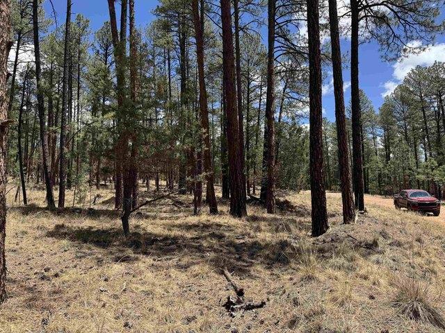 Land for sale in Timberon, New Mexico