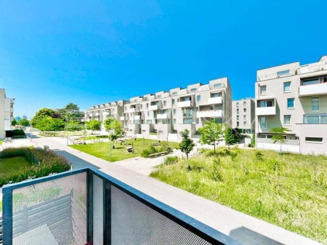 Apartment kaufen in Wien