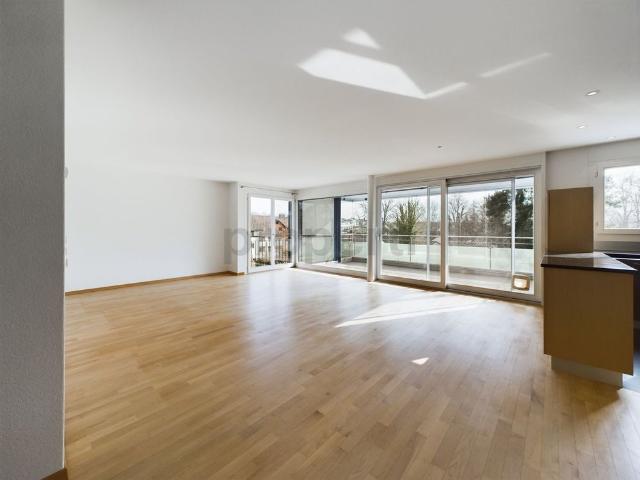 Apartment mieten in Enikon, Hünenberg