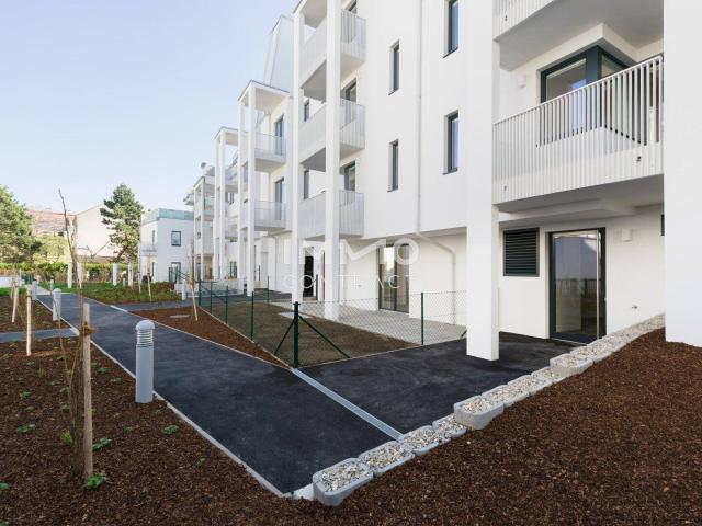 Apartment mieten in Donaustadt, Wien