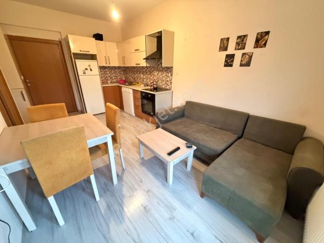 Orhangazi, Düzce Merkez içerisinde kiralık mülk