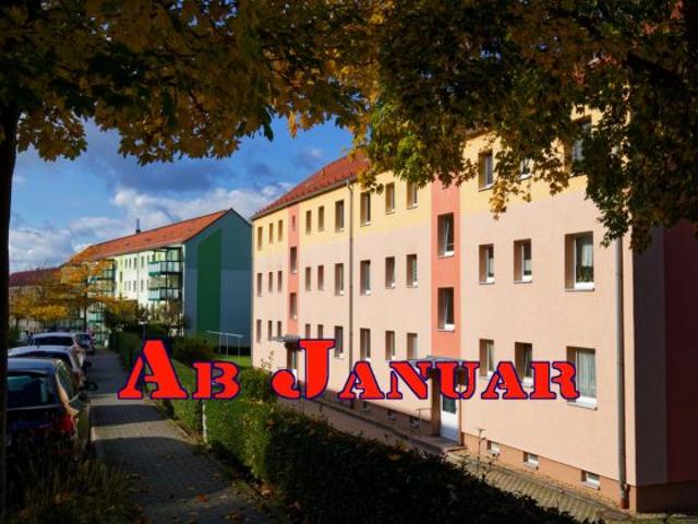 Wohnung mieten in Aubachtal, Greiz