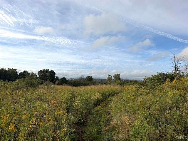 Land for sale in Village of South Dayton, Town of Dayton