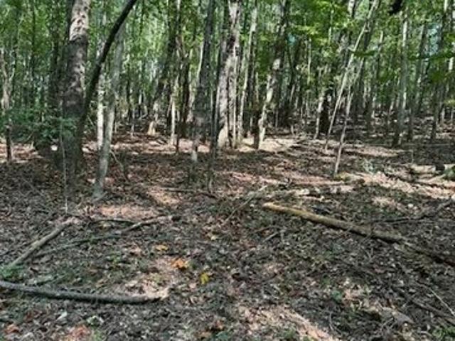 Land for sale in Phil Campbell, Franklin County
