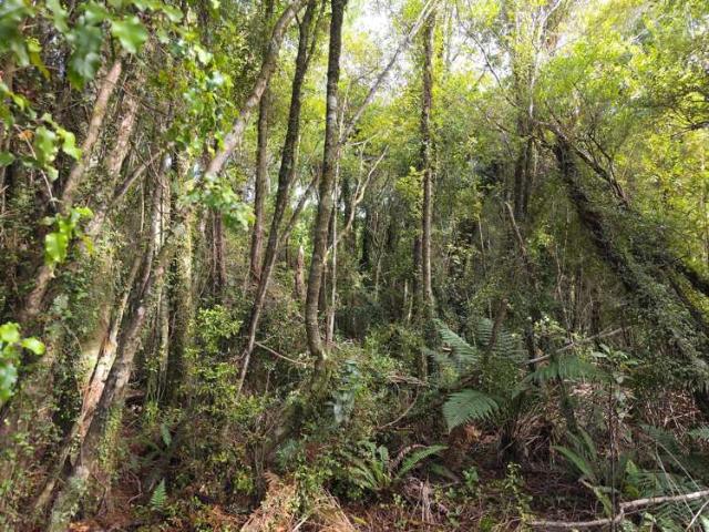 Property for sale in West Coast