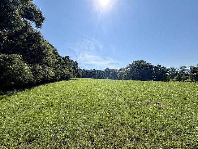 Land for sale in Rutledge, Alabama
