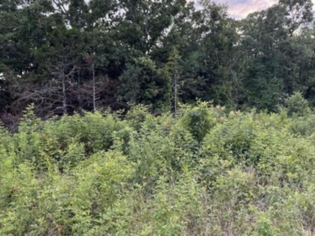 Land for sale in Ark