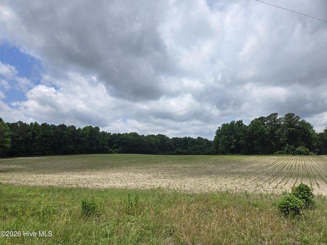 Farm for sale in Williamston, North Carolina
