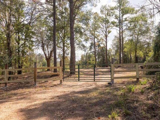 Land for sale in Sardis, Panola County