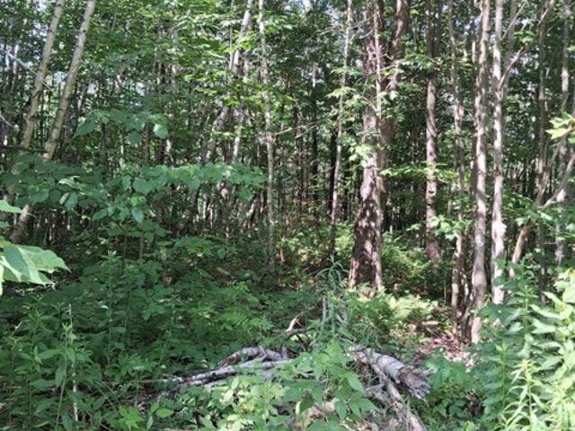 Land for sale in Westfield, Vermont