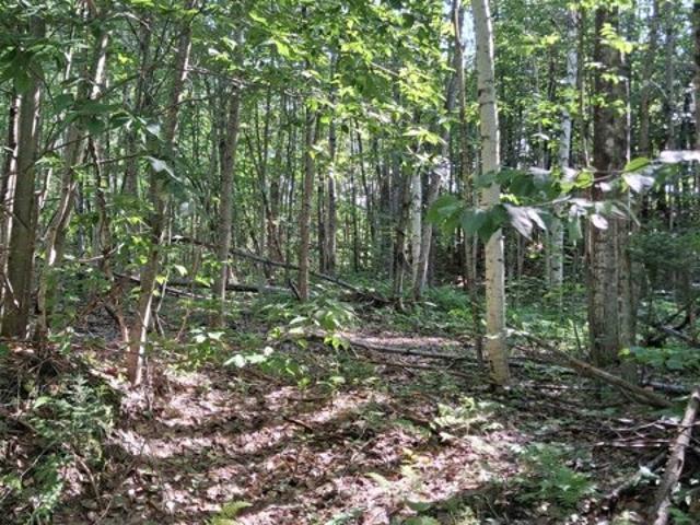 Land for sale in Westfield, Vermont
