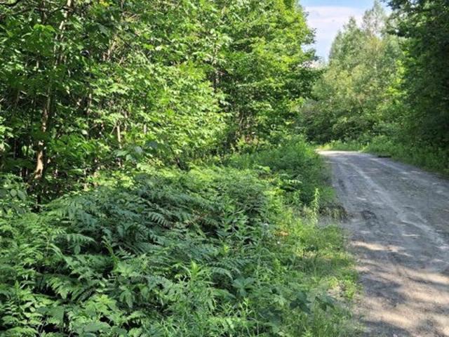 Land for sale in Westfield, Vermont