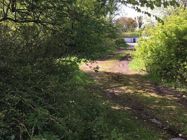 Farm for sale in Ballinlough