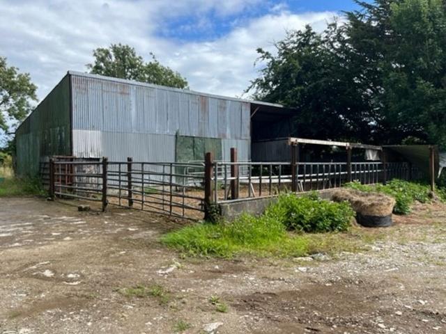 Farm for sale in Newbawn