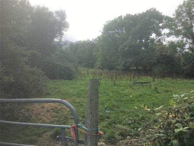 Property for sale in Omeath, North Tipperary