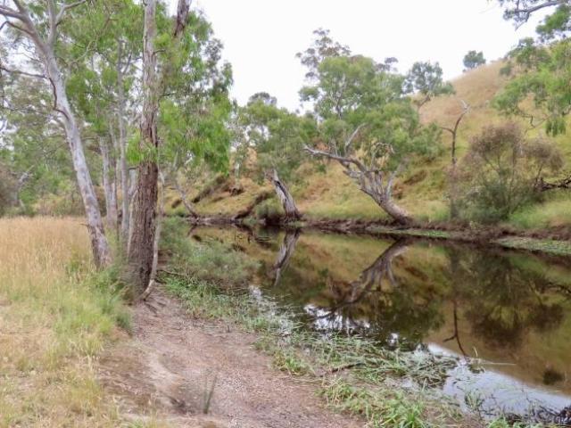 Land for rent in Balmoral, Victoria